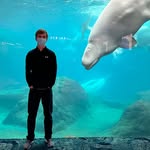 Will Hankins - @will_hankins_ - Instagram