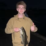 Will Hankins - @will_hankins - Instagram