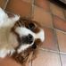 Will Harrington - Facebook