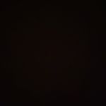 Will Harrington - @willl_harrington - Instagram