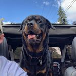 Will Harrington - @willinhifi - Instagram