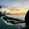 Will Harris - @willharris277 - TikTok