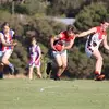 Will Hatfield231 - @willhatfield2 - TikTok