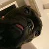 Will Hendricks - @will.hendricks_ - TikTok