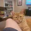 willhendricks475 - @willhendricks475 - TikTok