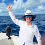 Will Hewitt - @mydissipation - Instagram