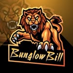Will Hill - @bunglowbill - Instagram