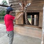 Will hinson - @willhinson303 - Instagram