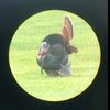 Will Hirsch65 - @willhirsch2 - TikTok