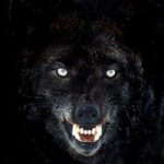 Will Holder - @willholder2 - Instagram