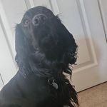 Will - @will.horton_ - Instagram