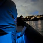 Will Howell - @will_howell_ - Instagram