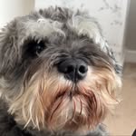 Will Humphreys - @the_jolly_fellow44 - Instagram