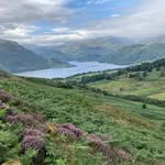 Will Humphries - @humphries.will - Instagram