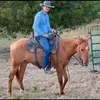 willr_humphries - @willr_humphries - TikTok