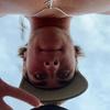 Will Hinman - @willhinman - TikTok