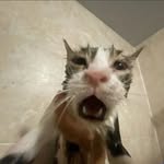 will jackson - @crazysquid10233 - Instagram