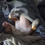 Will Jacobs - @__thewill_ - Instagram