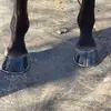 willjarvis83 - @willjarvis83 - TikTok