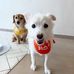 William Jeffery Li - Facebook
