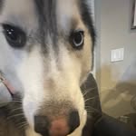 Will Jerome - @willpjerome - Instagram