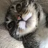 Will Johnstone - @will.johnstone6 - TikTok