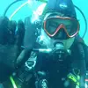 willlambert388 - @willlambert388 - TikTok