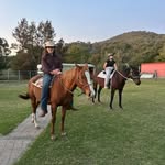 Will lamperd - @will_lamperd - Instagram