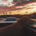 Will Lanier - @william_lanier - Instagram