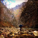 Will Lawrence - @awildwill - Instagram