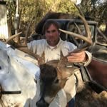 Will Livingston - @thewillestate - Instagram