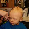 will livingston - @wlivings - TikTok