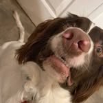 Will Lloyd - @will.lloyd2004 - Instagram