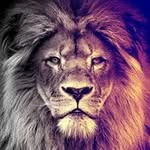 Will Lloyd - @willlloyd7801 - Instagram