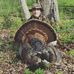 Will Lockhart - Facebook