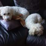 Will Logan Maries - @will_loganmaries - Instagram