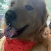 Will Lowery - @will.lowery5 - TikTok