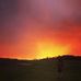 Will Mackinnon - Facebook