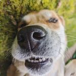 Will Madison - @will_madison1 - Instagram