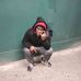 William Madison - Facebook
