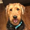 will.malcolm - @will.malcolm - TikTok