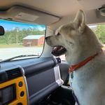 Will Manning - @will.manning.darkcornersphoto - Instagram