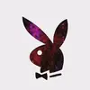 WillMarkham - @spacerhinoxd - TikTok