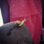 Will Masters - @willmasters02 - Instagram