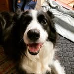 Will Masters - @williamlmasters - Instagram
