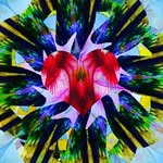 Will Masters - @will_masters_heart_spirit - Instagram