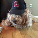 Beasty - @will_mayes_9508 - Instagram