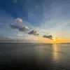 Will mayes - @user120922678996 - TikTok