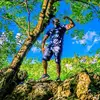 willmayes450 - @willmayes450 - TikTok