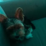 Will Mayhew - @mr_mayhew0610 - Instagram